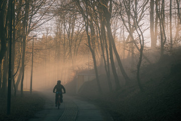 Single mountain biker riding in epical moment with sun rays shining through fog, going uphill towards the sun. Epic MTB ride on an asphalt road.