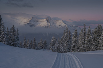 Early morning panorama at Lake Louise ski area with fresh snow just being ridden over. Snowy path on a fresh ski slope.