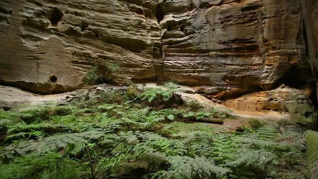Left to right panning motion of the inside of the rock formation know as ( The Amphitheater ) off the main walking trail at Carnarvon Gorge National 
