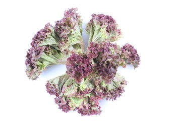 Red coral salad isolated on the white background.