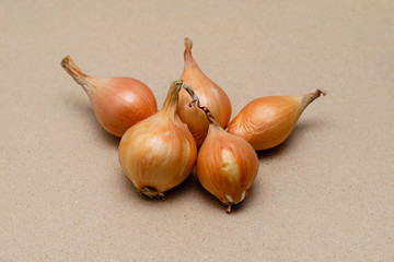 fresh bulbs of onion on a craft color background