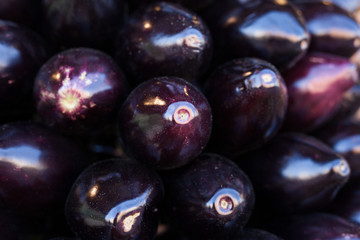 Fresh eggplant on market counter