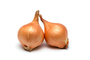 Fototapeta premium two fresh bulbs of onion on a white background