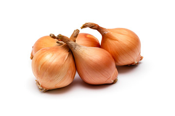 fresh bulbs of onion on a white background