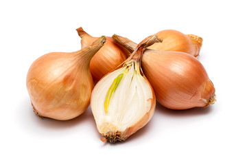 fresh bulbs of onion on a white background
