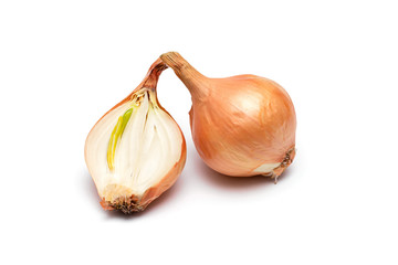 fresh bulbs of onion on a white background
