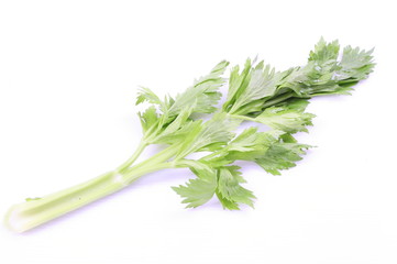 Green celery isolated on white background