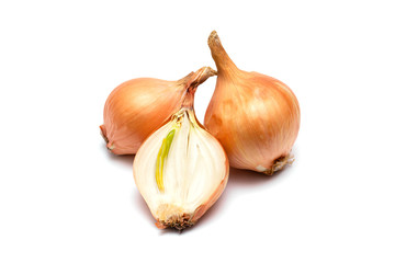 fresh bulbs of onion on a white background