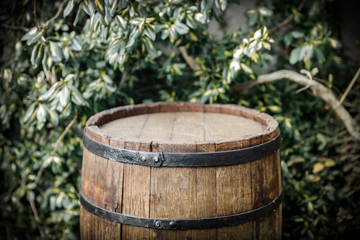 Old wooden barrel in garden and free space for your decoration. 