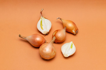 fresh bulbs of onion on a orange background