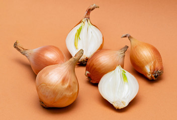 fresh bulbs of onion on a orange background