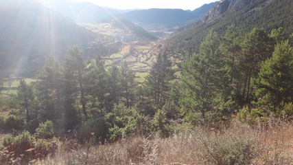 Bosque en una montañas, la silueta del cielo y reflejo del sol