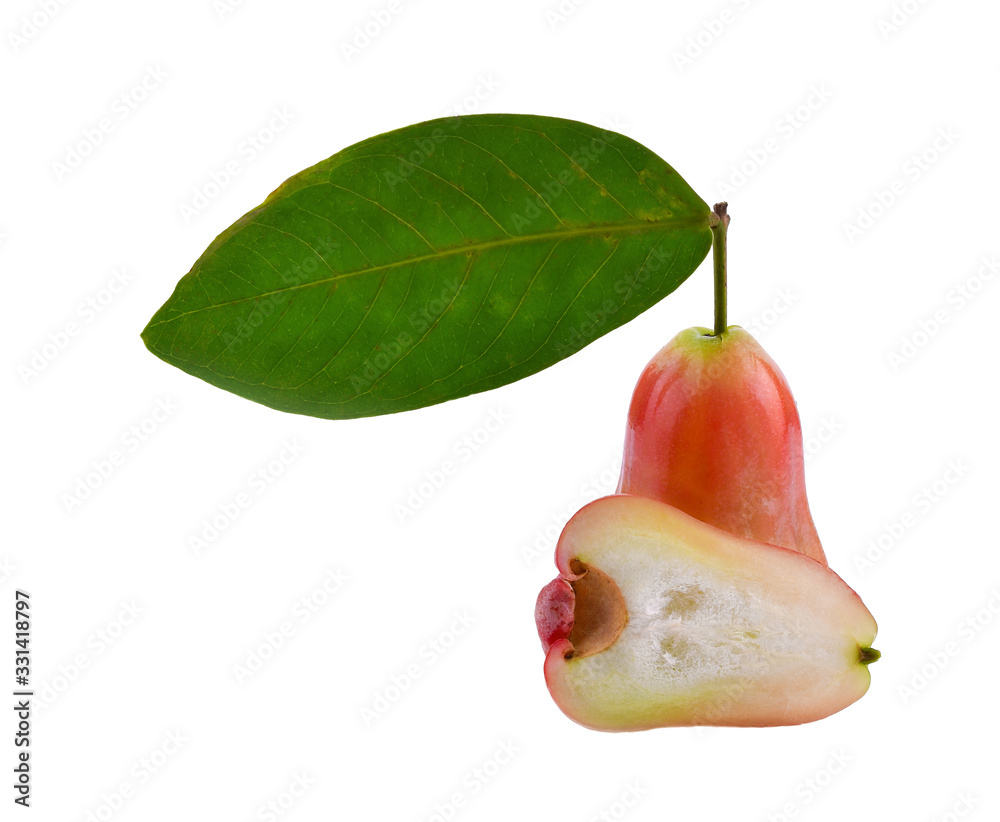 Poster Rose apple on white background