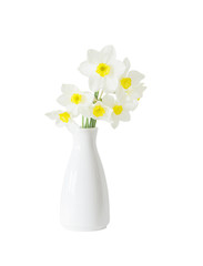 daffodils in white vase isolated  on white background