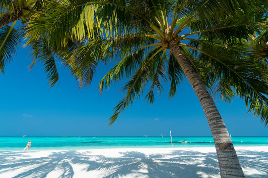 Sandy beach of tropical island in the Maldives