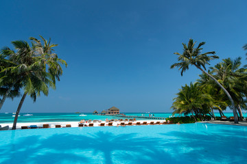 Fototapeta na wymiar Sandy beach of tropical island in the Maldives