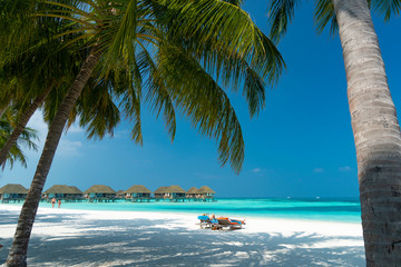 Fototapeta na wymiar Sandy beach of tropical island in the Maldives