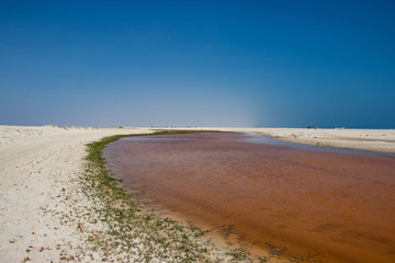 Fototapeta na wymiar Pink Lagoon at white beach in Dhofar along the coastal road to Salalah in Oman