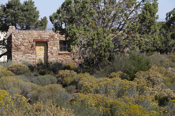  an old shed in the middle of nature