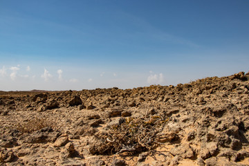 Stone desert jiddat al Harasis along the coastal road to Salalah in Oman