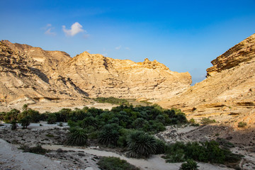 Fototapeta na wymiar View of Wadi Al Nakheel along the coastal road to Salalah in Oman
