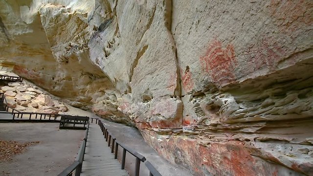 Left to right pan motion of cliff face know as Cathedral Cave at end of walking trail of Carnarvon Gorge. Walls have engravings, Ochre stencils, free-hand paintings which most are 1000's of years old 