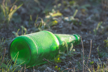 Fototapeta premium Empty green glass bottle thrown in the meadow. Environmental pollution by household garbage. Sorting garbage.