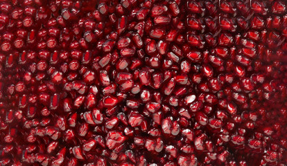 red pomegranate texture