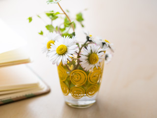 Gänseblümchen in einer kleinen Glasvase und ein offenens Buch, Frühling, Sonnenlicht