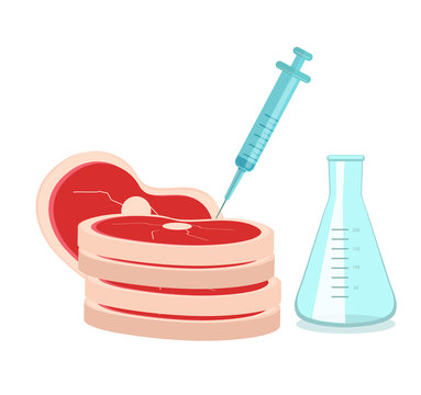 Synthetic meat is grown in the laboratory from stem cells. Artificial meat product, food technology of the future. Vector illustration