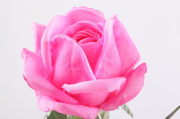 Obraz premium Pink colorful textile rose closeup