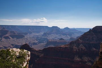 Blick in den Grand Canyon