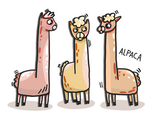 vector illustration of Llama, Alpaca, logo, stylization, 