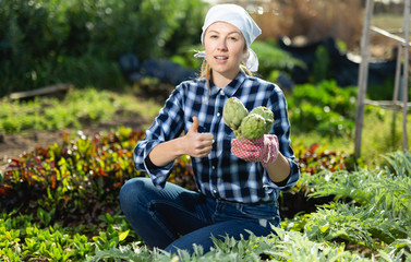 Girl cuts ripe artichokes with a pruner in the garden