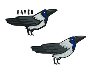 Raven vector illustration, logo silhouette sign bird Raven, for business and illustrations