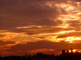 sunset in the Tokyo city