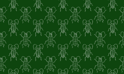 Danger Insect vector set. Web sign kit of line bugs. Beetle seamless pattern. Simple danger insect cartoon