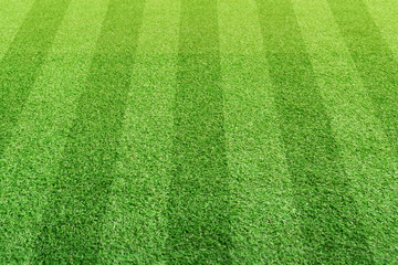 Stripe grass soccer field. Sport lawn background.