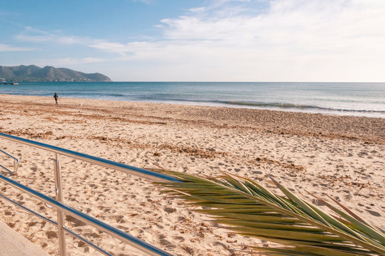 Palm leaf on top of a metal railing giving access to the beach of Cala Millor (island of Mallorca). Empty beach with remains of poseidonia and a woman on her back walking the dog