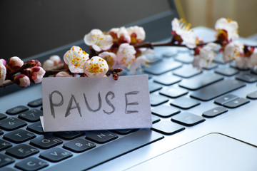 a branch of blooming apricots lies on a laptop keyboard and the word pause on a white sheet