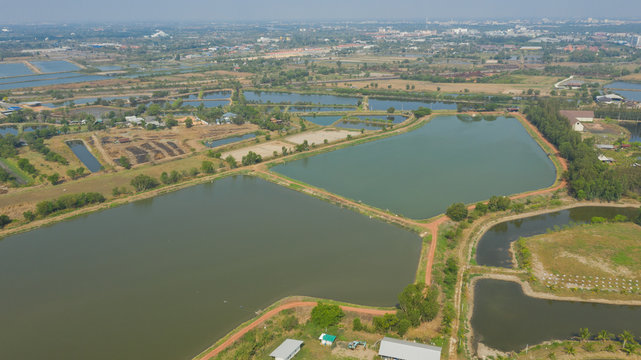 Aerial view from flying drone of Fish pond, fish farm
