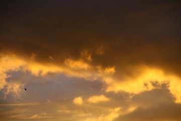 red clouds in the sky
