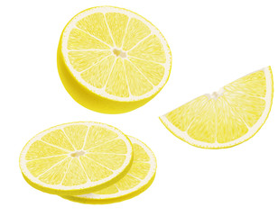 Fototapeta premium Slice of lemon. Half a lemon.