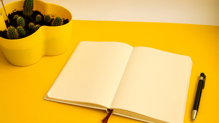 Cactus and Blank notebook with pen on yellow background, Freelance working environment view , copy...