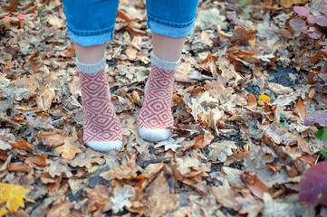 Fototapeta premium Handmade knitted socks on the background of leaves