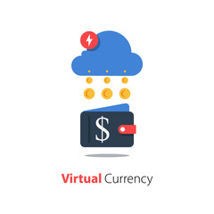 Crypto wallet, financial cloud technology, online payment, digital currency