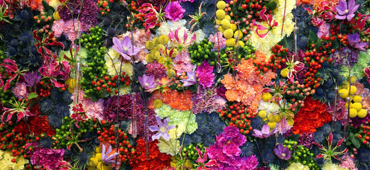 Various color flower background wall with amazing red,orange,pink,purple,green and white various...
