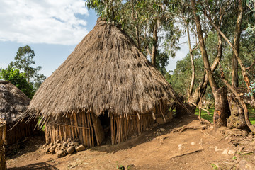 Fototapeta na wymiar Hut in Ethiopia