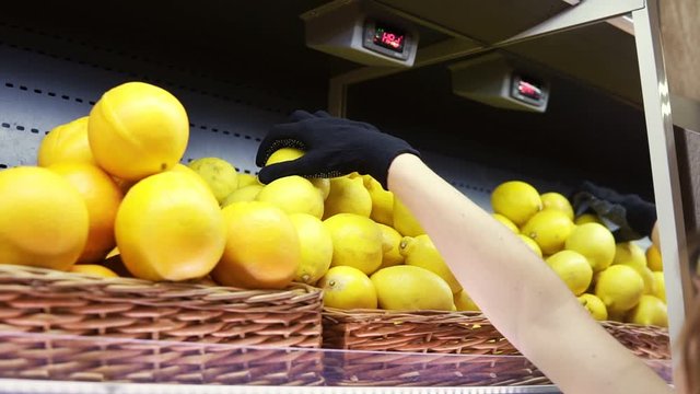 Close up of female worker in black gloves stocking the lemons in supermarket. Young employee at work. Curly female arranging lemons on shelf. Slow motion