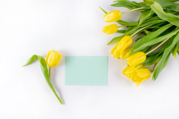 Yellow tulips and a blank card for writing on a white background.